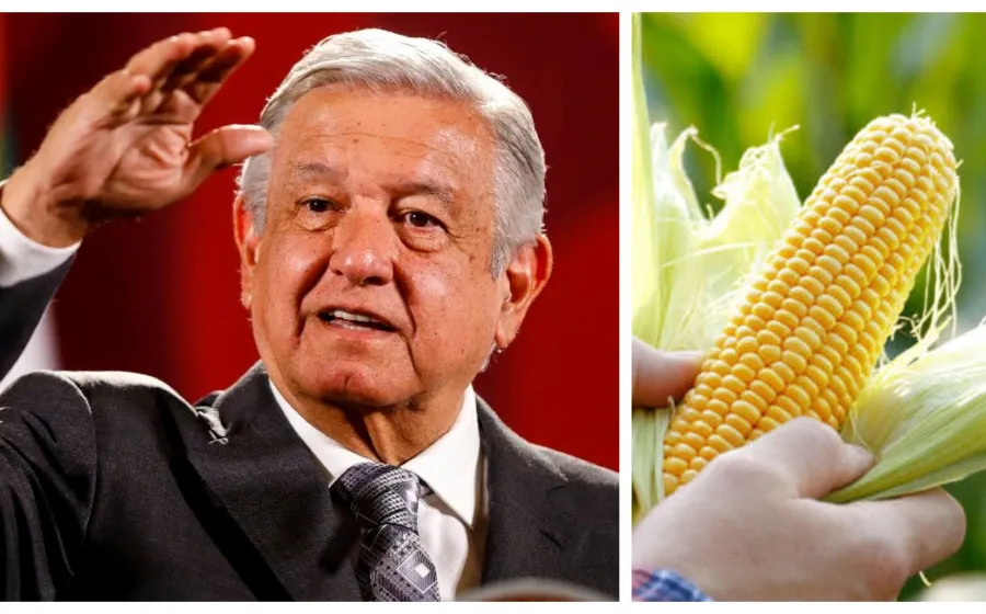 amlo_decreto_maiz