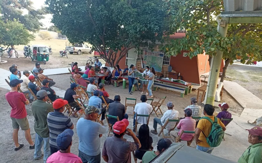 asamblea_puente_madera