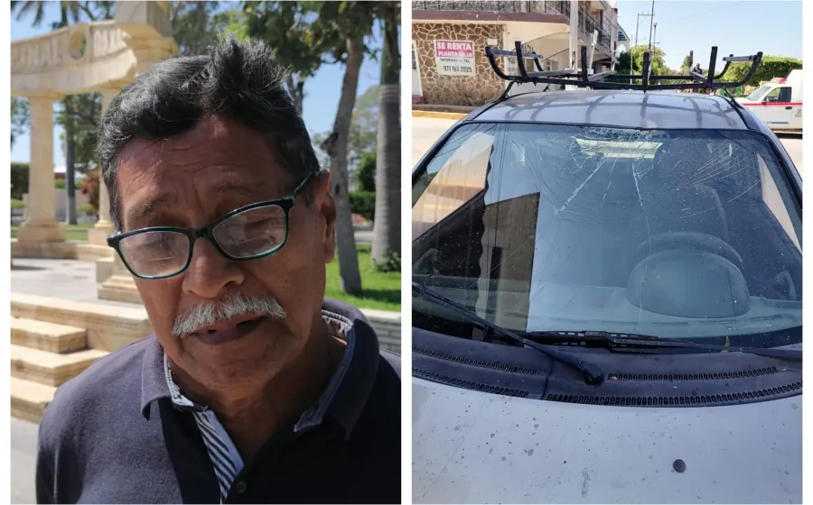 caida_de_arbol_auto