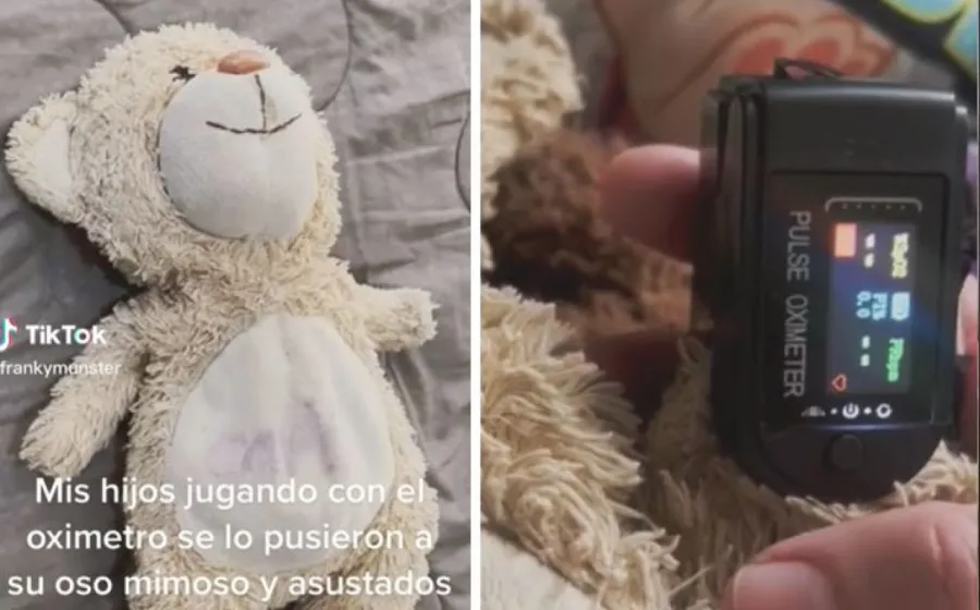 oso_maldito_pulso