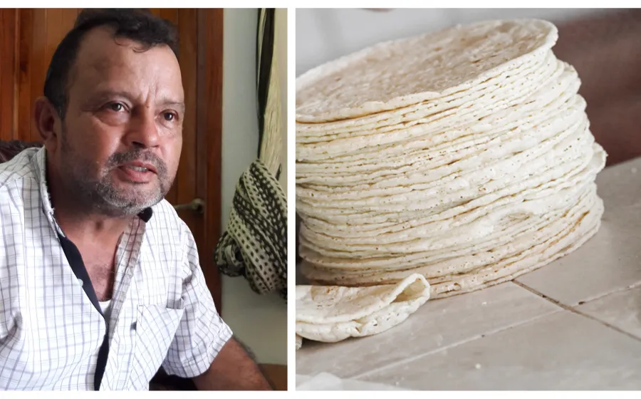 tortilla_aumento