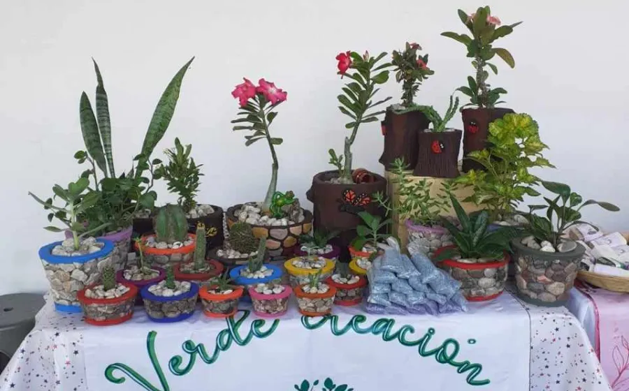 emprendimiento_local