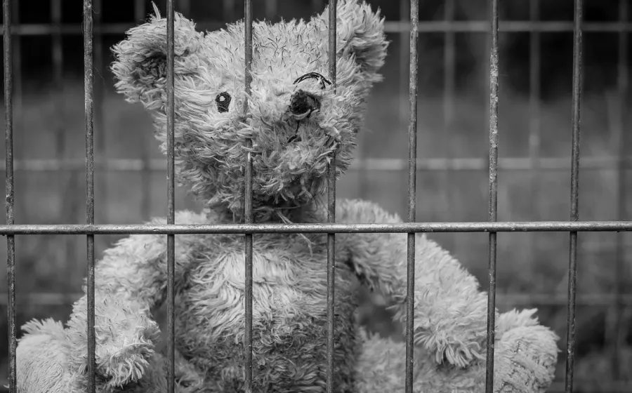 prision_oso