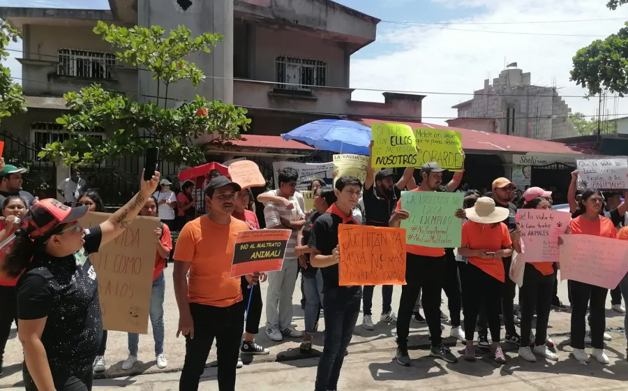 juchitan_lomitos_protesta