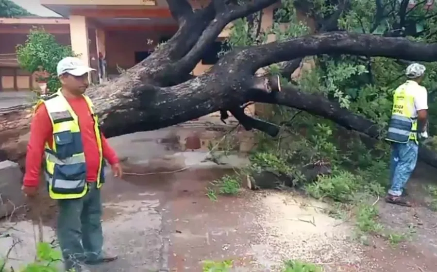 proteccion_civil_supervisando
