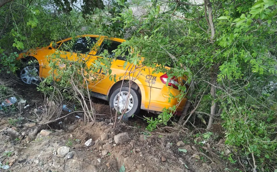 taxista_matorral