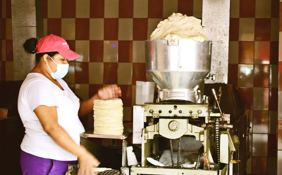 aumento_tortilla
