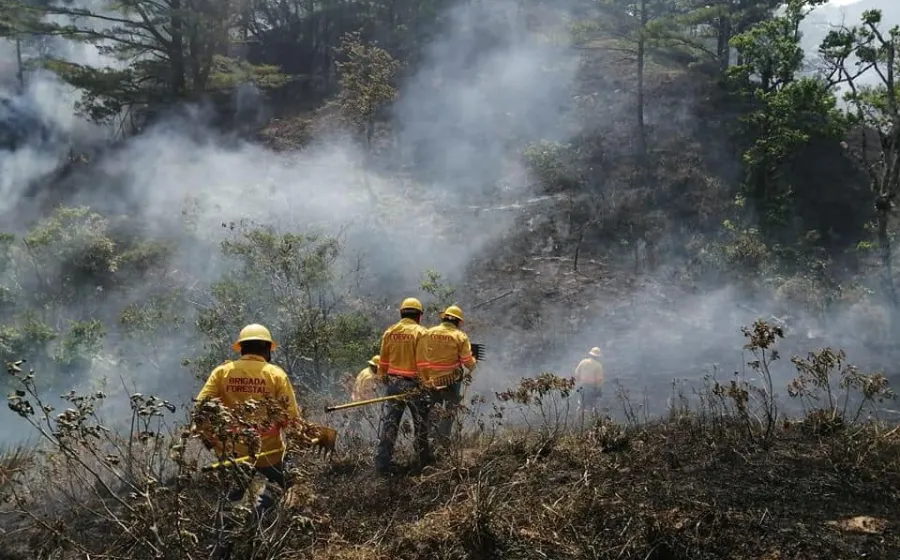 bomberos_incendio