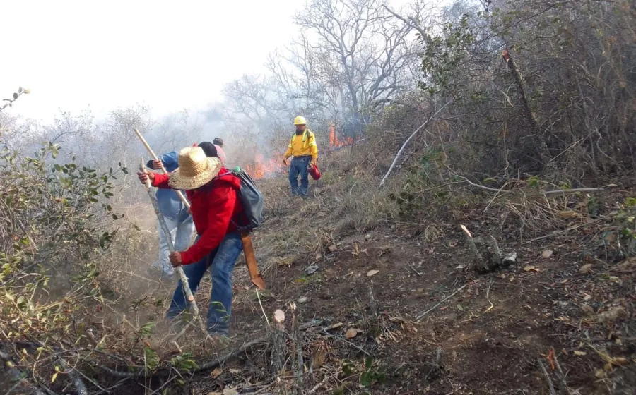 brigada_incendios