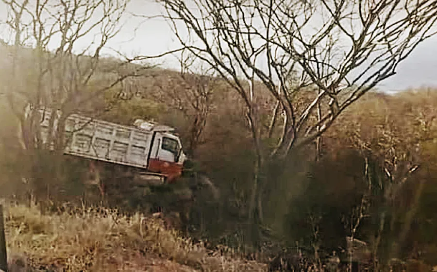 camion_material