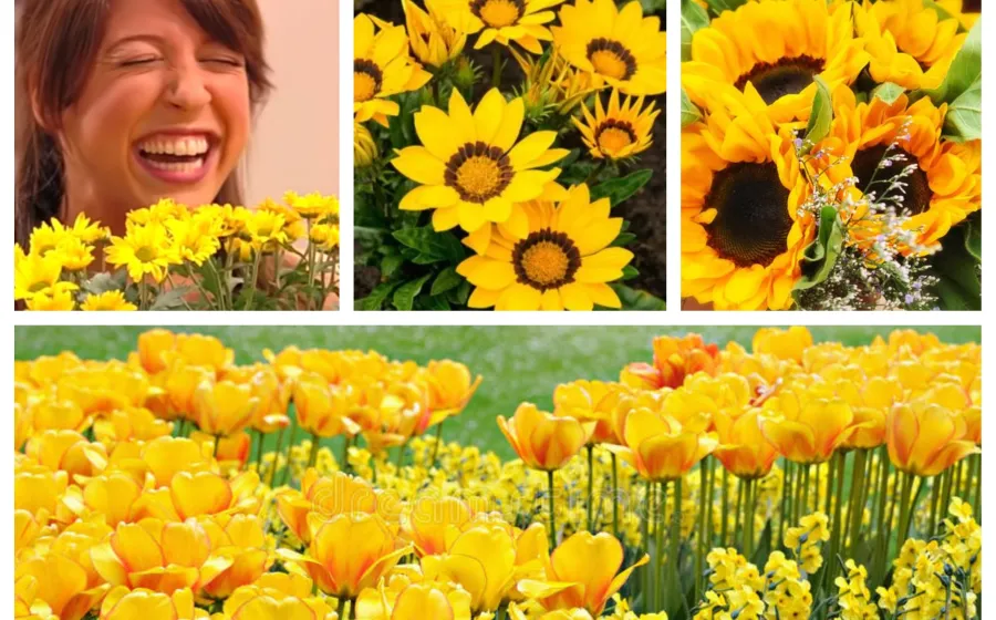 flores_amarillas