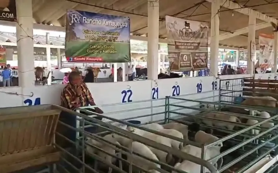 ganaderos_expoferia