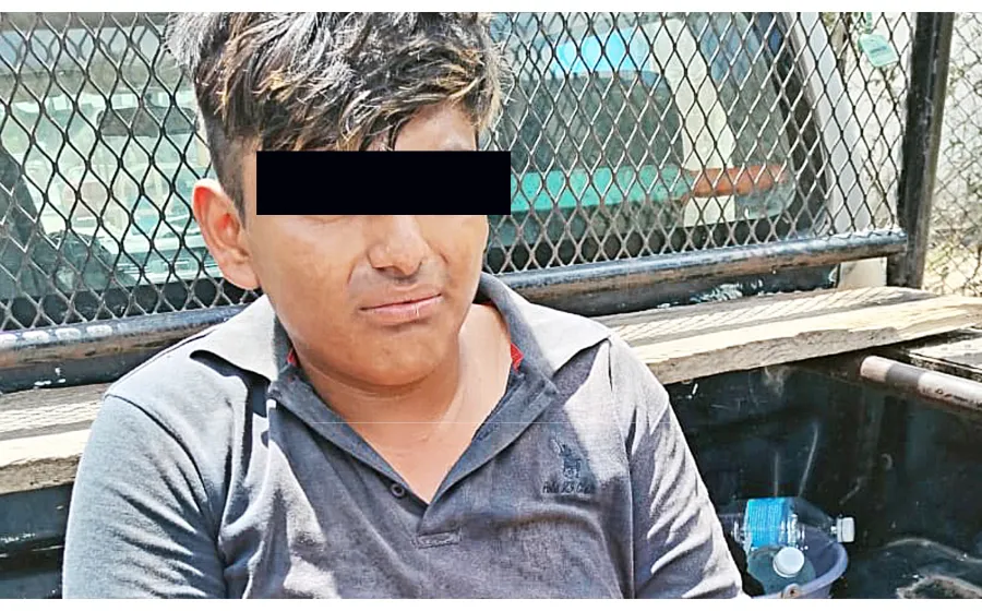 perro_apaleado_detenido