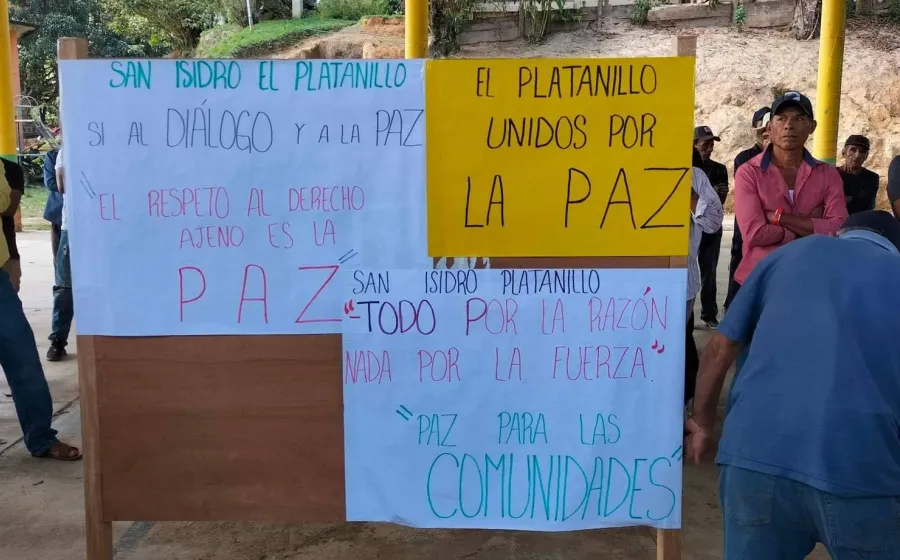 plantanillo_camino