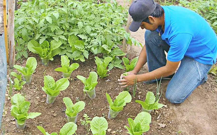 sustentabilidad_tehu