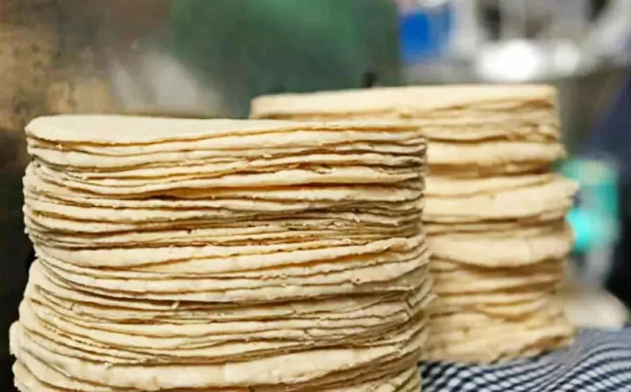 tortilla_aumento