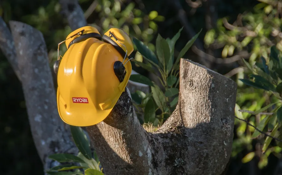 casco_sobre_arbol
