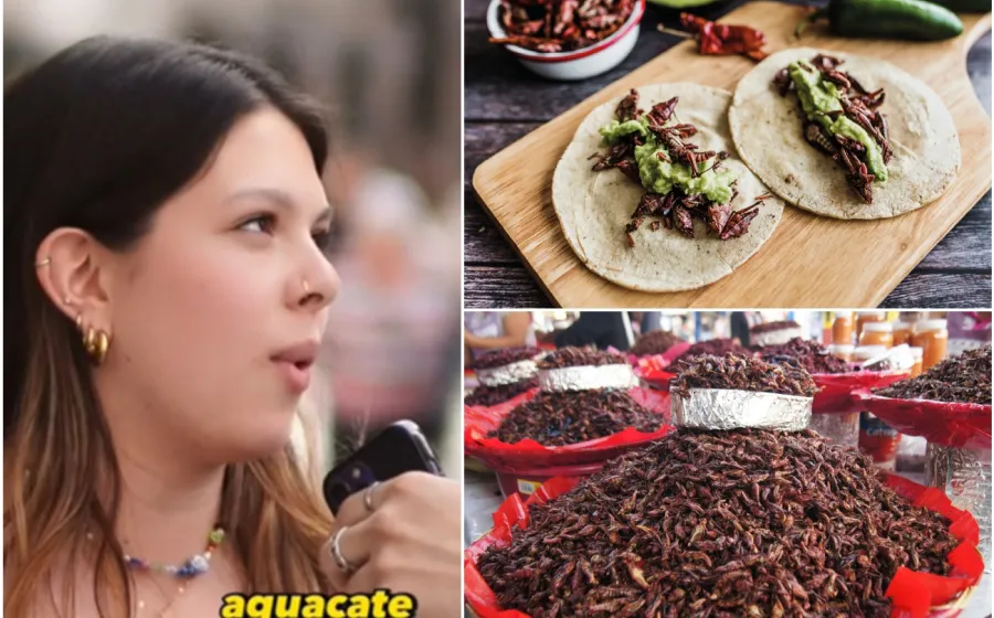 chapulines_taco