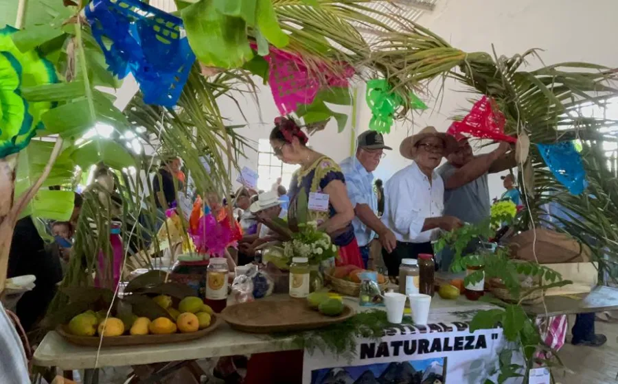 ixtaltepec_feria