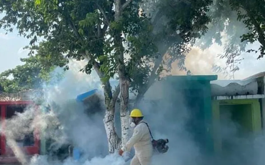 dengue_panteon