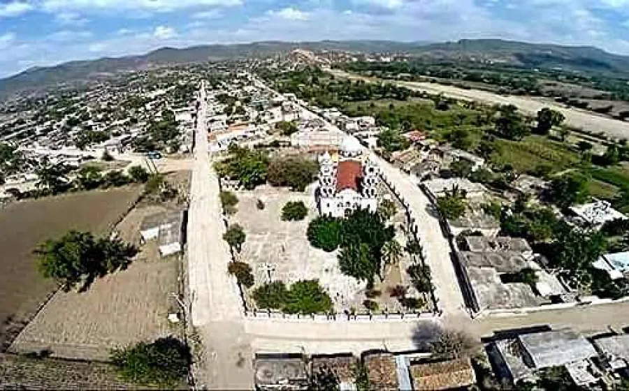 parricida_nuchita
