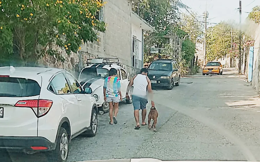 perro_panico