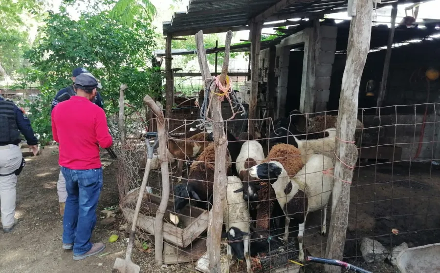 familia_vias