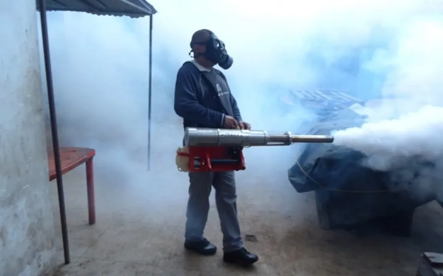 fumigadores_patito
