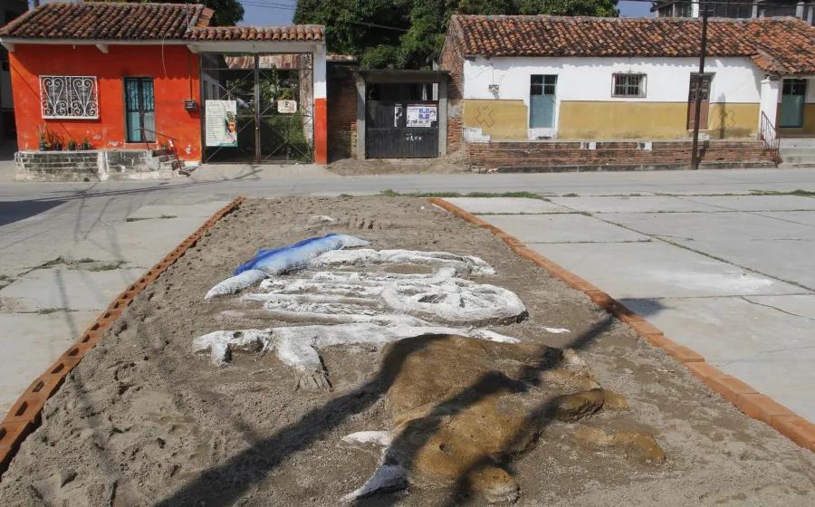 tapete_santa_cruz