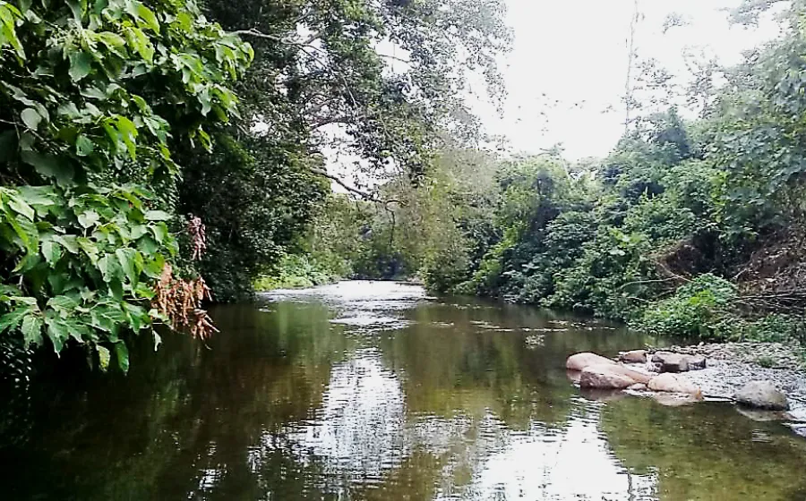 areas_chimas