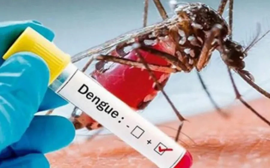 dengue_salud