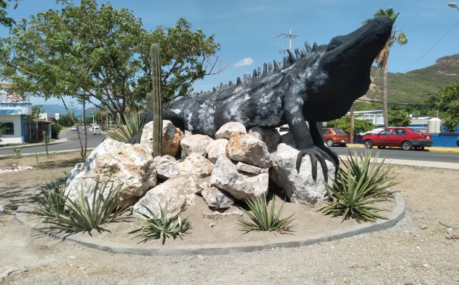 iguana_tehua
