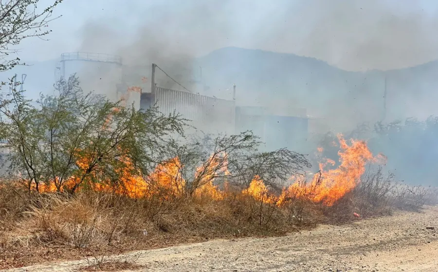 incendio_huilo
