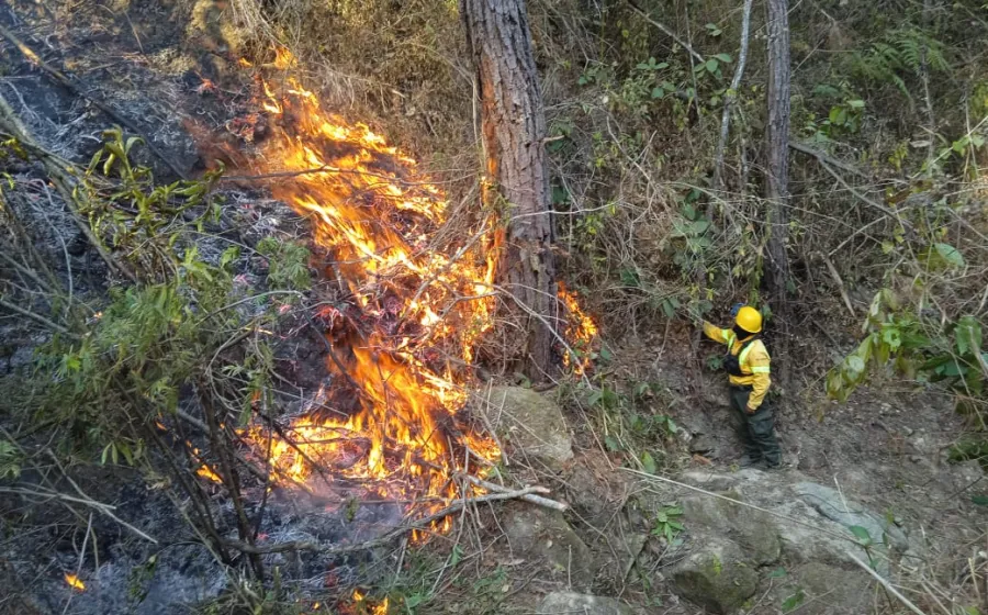incendios_forestales