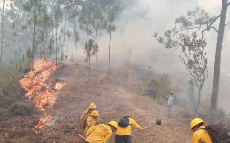 incendios_oaxaca_reporte