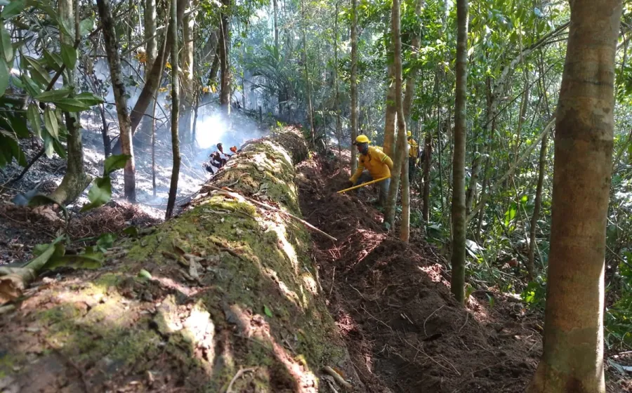 incendios_reporte