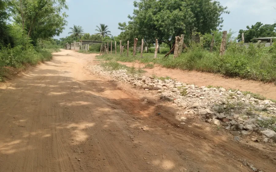 Los vecinos se quejan y piden a los propietarios realizar la limpieza de sus terrenos.