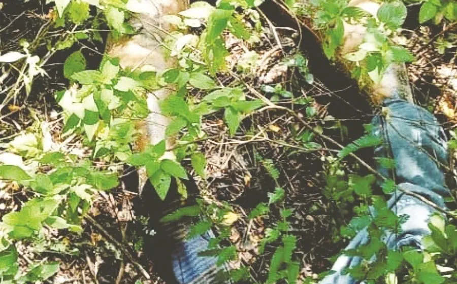 Willians M. P, estaba desaparecido, el domingo fue visto por última vez en Santiago Niltepec.