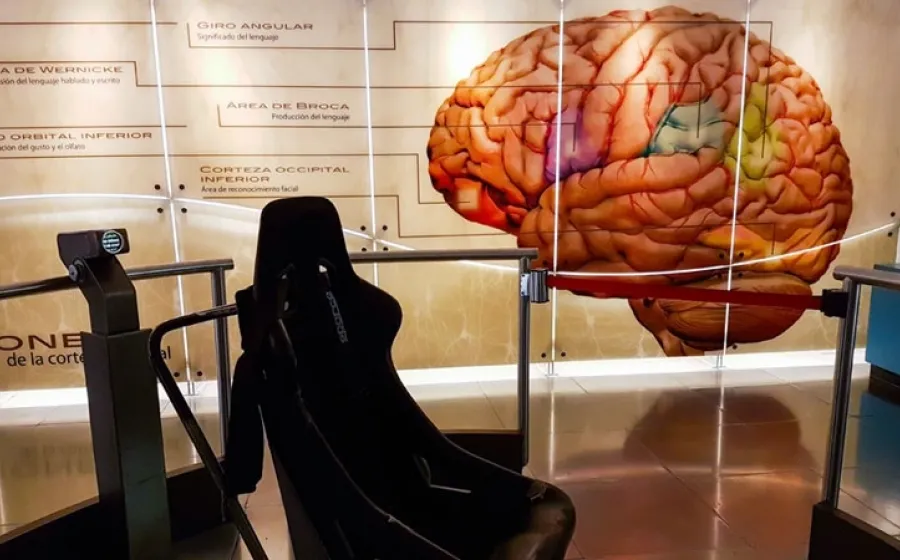 La investigación integra los campos de la neurociencia, la siquiatría y la neurocirugía. Foto: Agencias. 