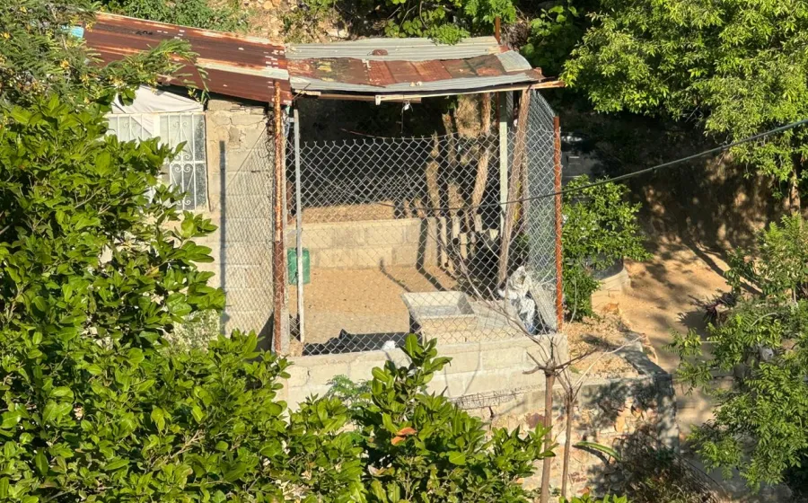 La vivienda está rodeada de árboles y se ubica en la parte alta de la colonia San Pablo.