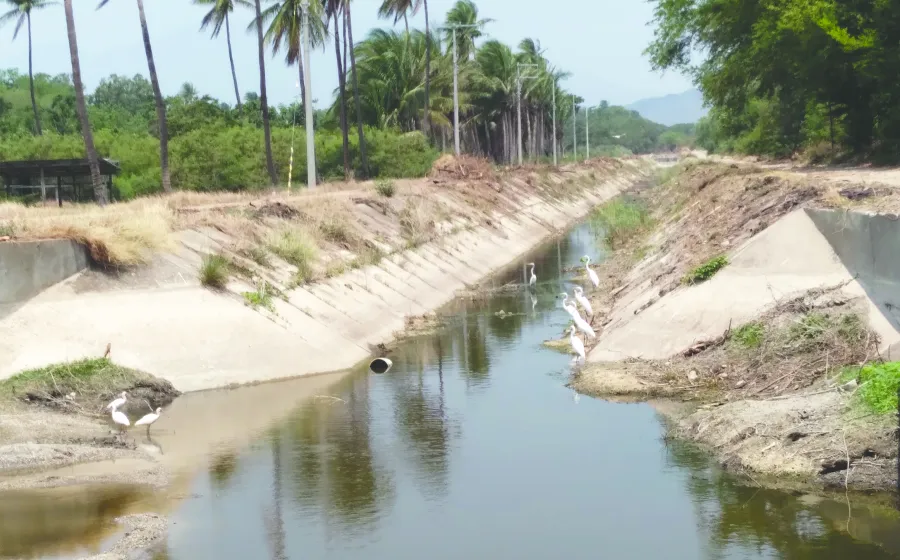 temen_campesinos_agua