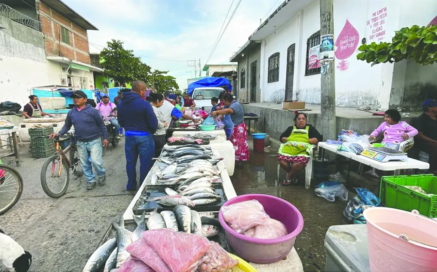 venta_pescados