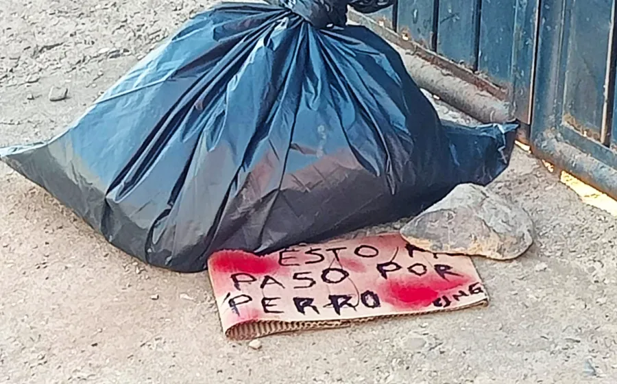 restos_perro