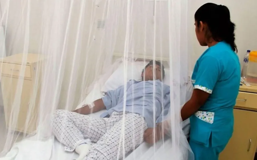 casos_de_dengue