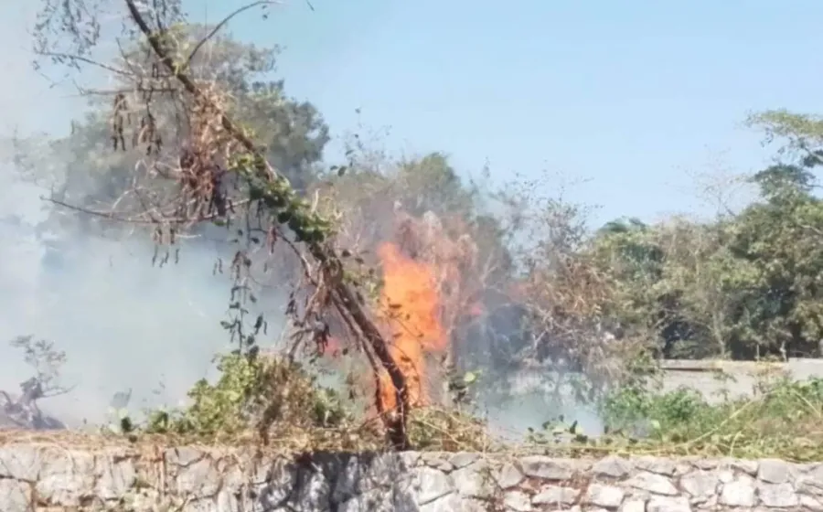 incendio_ramas