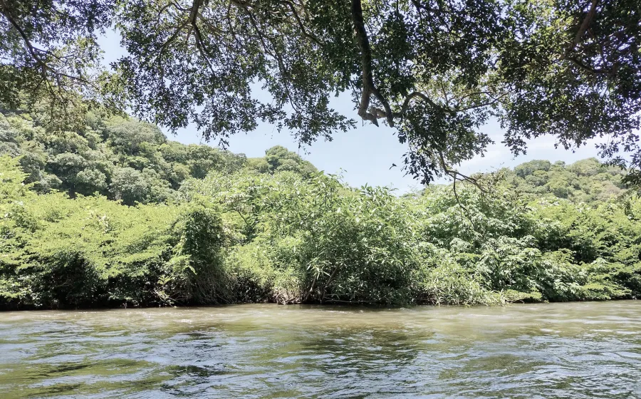 mineria_chimalapa
