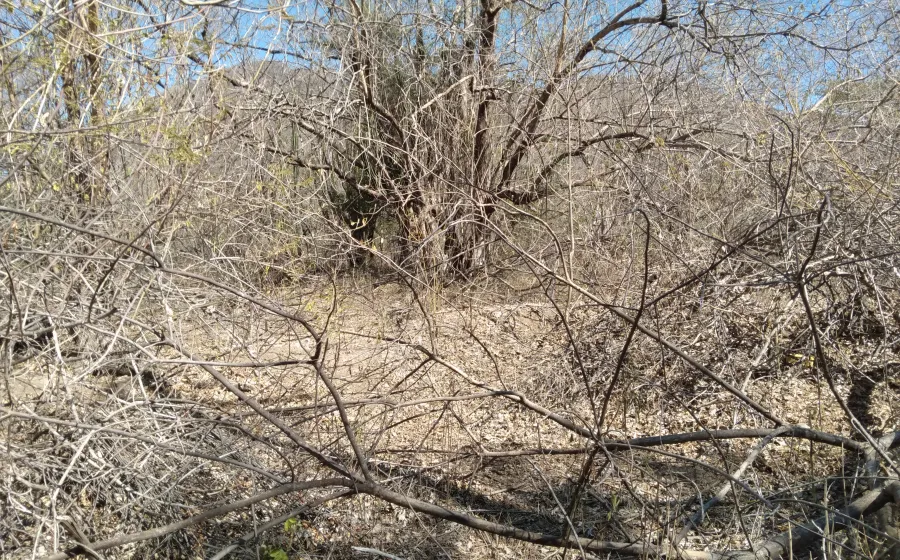 vilma_obras