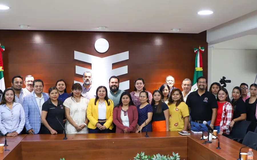 Fue iniciativa del Consejo General del órgano electoral. 