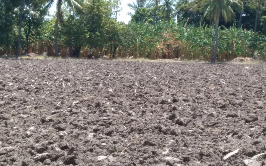 Agricultores tehuanos lamentan la desaparición de los programas de apoyo al campo.