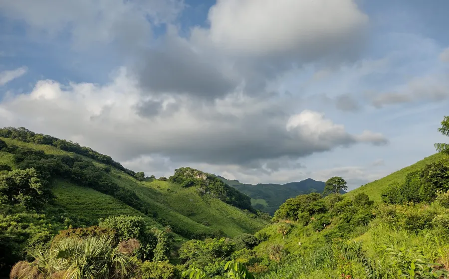 chimalapa_selva